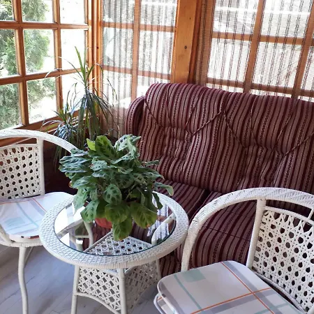 Apartment Borovi