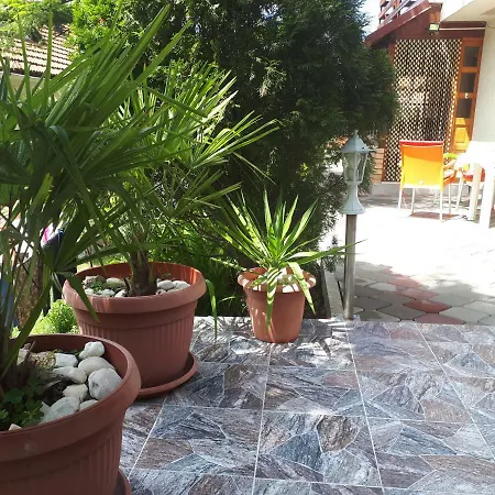 Apartment Borovi